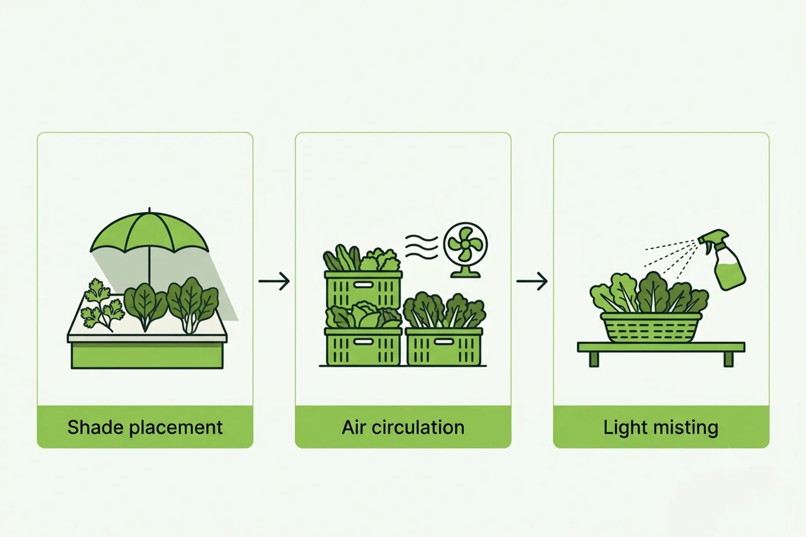 Freshness in leafy vegetables maintained using shaded crates at a vegetable shop